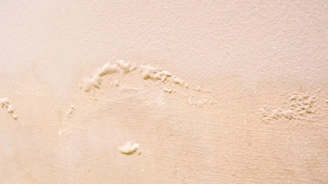 Roof Inspection 11 Brown Wall Damp Damaged With Peeling Paint