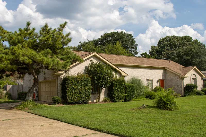 Projects 10 Projects 15